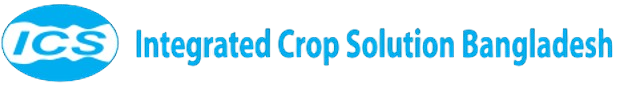 ICS Logo