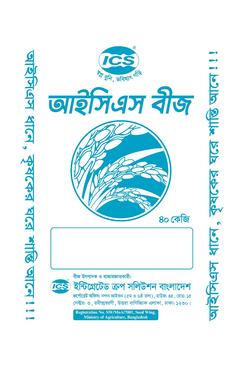 BRRI Dhan 29